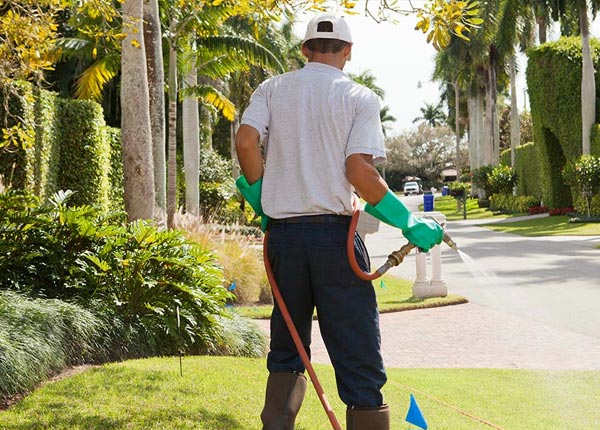 About Erie PA Pest Control